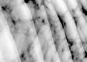 Jenny Owens, JO23FP143 xx Series