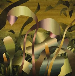 Marjolein van Haasteren, Sotto Muschio Notturno