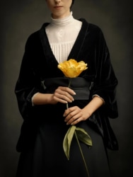 Ilona Langbroek, Yellow Tulip