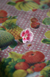 Inez Smit, Pelargonium White Splash