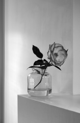 Inez Smit, Rose Händel