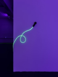 Brigitte Kowanz, Lichtverschmutzung (Light Pollution)