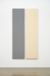 Alan Charlton, Painted  Unpainted