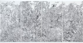 Anouk Griffioen, Nouveau jardin