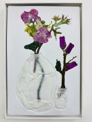 Stephen j Shanabrook, Tiger orchids Crack bags and lighter fruit