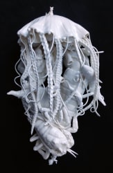 Vivian van Blerk, Odyssey - Guardian