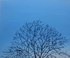 Marloes Roeper, Een gemeenschappelijk uitzicht