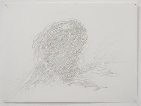 Joke Raes, Inner map