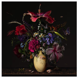 Bas Meeuws, Untitled (#150)