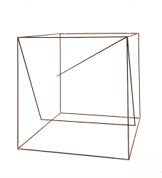 Anne Rose Regenboog, Zonder titel (24-02)