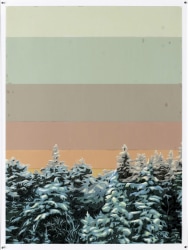 Tom Woestenborghs, Wanderlust