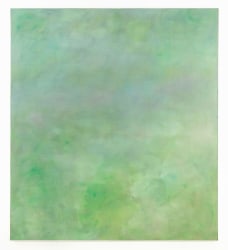 Rosa Peters, VERDE VI