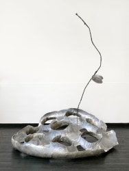 Michelle Chang Qin, The goat stood still