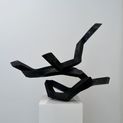 Robert Schad, VLUWERS