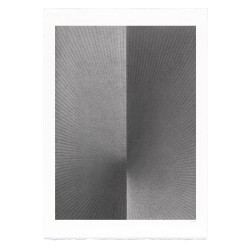 Alexandra Roozen, Two Tone #49A