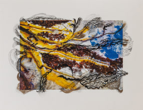 Monali Meher, Book edition 13