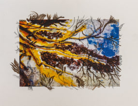 Monali Meher, Book edition 16