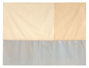 Guy Mees, Eucalyptus