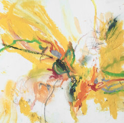 Sofie van Thiel, The Faraway Nearby VI