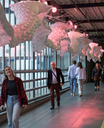 Ana Oosting, Installatie op Art Rotterdam