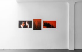 Judith Westerveld, Foretold by the Mist