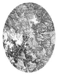 Mirjam Abraas, Herfst