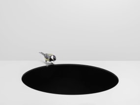 Hans van Asch, Wormhole