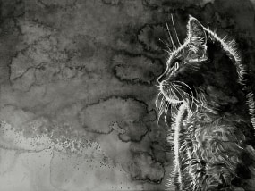 Hans Op de Beeck, Cat (small study)
