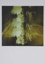 Nathalie Brans, Villa Waldberta