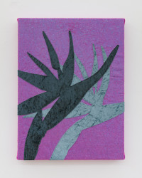 Tramaine de Senna, Tequila Sunrise