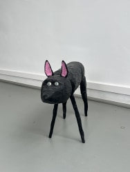 Peter Bastiaanssen, dog