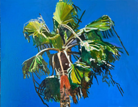 Yutaka Sone, Palm Tree