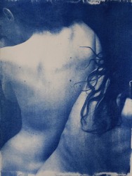 Julie van der Vaart, Entangled #1