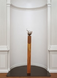 Marinus Boezem, Albero