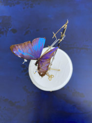 Leon van Opstal, L376174994 B557520233 (Destination Moscow)