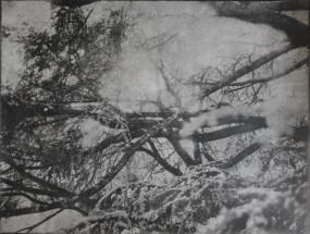 Vincent Zanni, Confusion