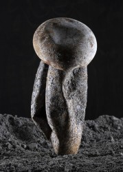 Sjoerd Knibbeler, Passant #11