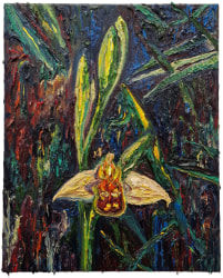 Krijn Kroes, Spiegelorchis I
