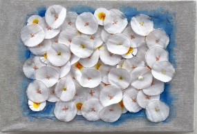 pietsjanke fokkema, Madeliefjes in het veld