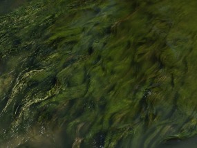 Lenny Oosterwijk, Heraclitus. Meuse