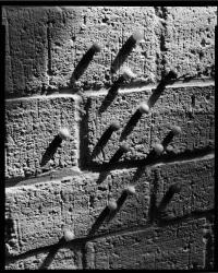 Thomas Manneke, Untitled, from Series Zillion