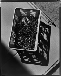 Thomas Manneke, Untitled, from Series Zillion