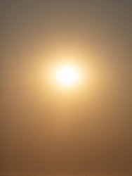 Lenny Oosterwijk, Zon