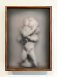 Casper Faassen, ReCollection Root VI