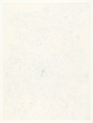 e.v., routes no roots