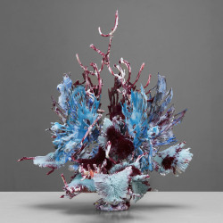 Heringa/Van Kalsbeek, Blue polar depth