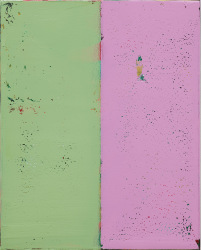 Ronald Zuurmond, bitches brew