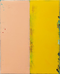 Ronald Zuurmond, Jao Mori Baiyaan Na Maroro Girdhari