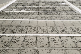 Kadir van Lohuizen, Beef cattle ranch, Texas, USA