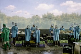 Kadir van Lohuizen, Kenya